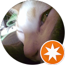 Vincenzo Cassarino (. profile picture